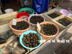 -葑门横街