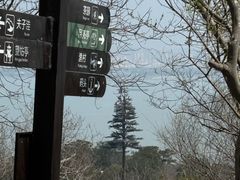 -巢湖姥山岛