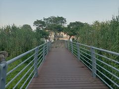 -美兰湖景区
