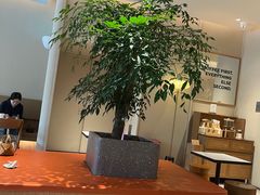 -Peet's 皮爷咖啡(海雅缤纷城店)