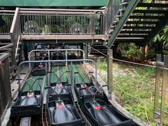 -圣淘沙天际线斜坡滑车