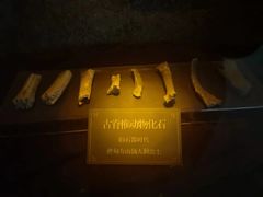 -吉林市博物馆