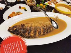 红烧黄河大鲤鱼-阿庄新豫菜(通泰路店)