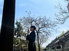 -护国法轮寺