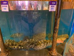-开海·红岛海鲜虾水饺(石老人店)