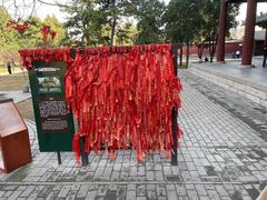 -隆兴寺