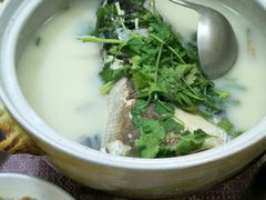-天乐农家鱼头王(天目湖店)