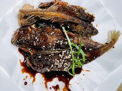 -佬肥猫(周浦万达店)
