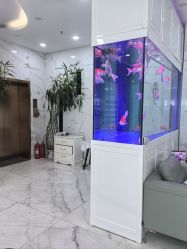 -金圣医疗美容