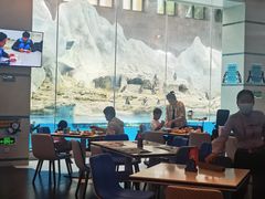 -帝企鹅自助餐厅•儿童岛•真企鹅(长隆企鹅酒店)