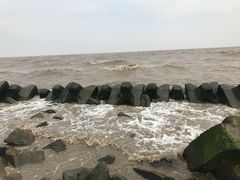 -南汇嘴观海公园