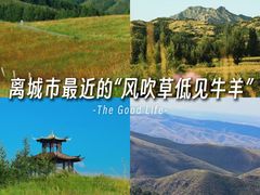 -敕勒川草原文化旅游区