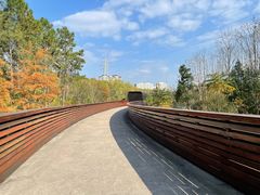 -昆山城市生态森林公园