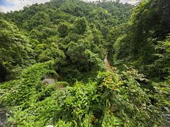 -野象谷景区