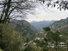 -都江堰普照寺