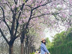 -南丰汇(新港东路店)