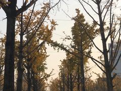 -两江幸福广场