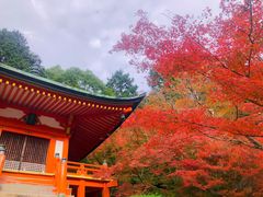 -醍醐寺