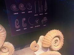 -贝林大翅鲸简餐厅(国家海洋博物馆店)