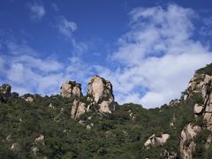 -大岭沟猕猴桃谷风景区