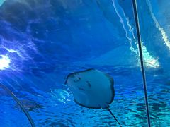 -福州罗源湾海洋世界旅游区