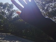 -梧桐山风景名胜区