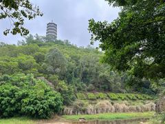 -深圳国际园林花卉博览园