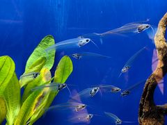 -上海海洋水族馆