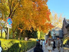 -龙人居·水煮鱼(五道口店)