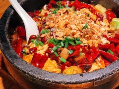 -黑蚂蚁(南河店)