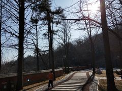 -阳台山自然风景区