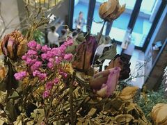 -快乐小羊(富强中路店)