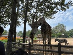 -大连森林动物园