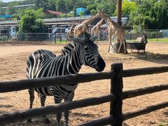 -大连森林动物园