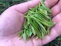 -龙坞茶村