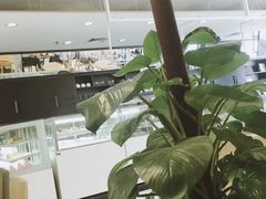-织荆鸟咖啡(首开福茂店)