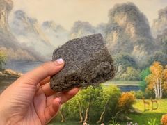 黑米糕-航天馒头(瞻园路店)