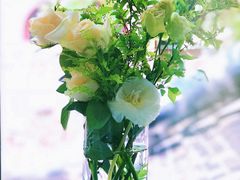 -蝶舍·MAISON PAPILLON