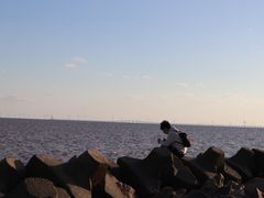 -南汇嘴观海公园