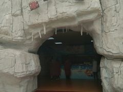 -珠海海泉湾神秘岛亲子乐园