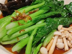 -新白鹿餐厅(悠迈生活广场店)