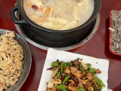 -蘑统田下·野生菌火锅