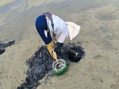 -北海金海湾红树林生态旅游区