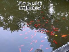 -福田家月子中心 产后 月嫂(市立母子医院店)