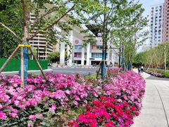 -漕溪路(地铁站)