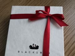 -BLACKSWAN黑天鹅(环球店)