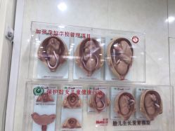 -五洲妇儿医院