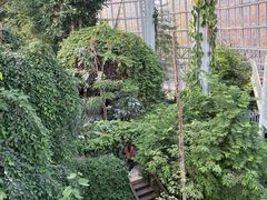 -郑州植物园