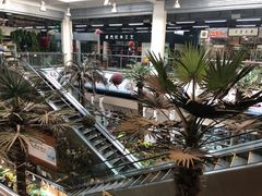 -双季花艺园艺市场(浦东店)