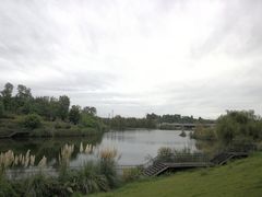 -白鹭湾湿地公园